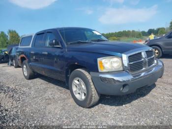  Salvage Dodge Dakota