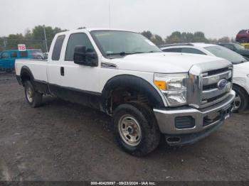  Salvage Ford F-250