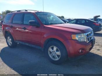  Salvage Ford Escape