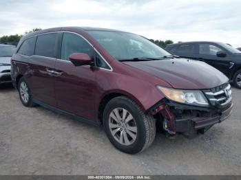  Salvage Honda Odyssey