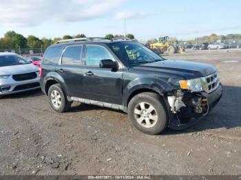  Salvage Ford Escape