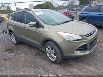  Salvage Ford Escape