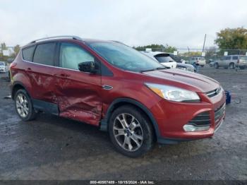  Salvage Ford Escape