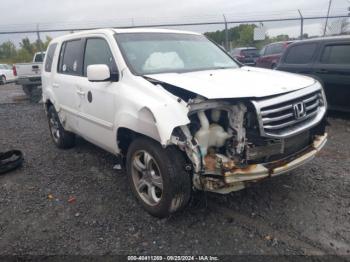  Salvage Honda Pilot