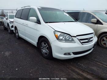  Salvage Honda Odyssey