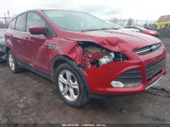  Salvage Ford Escape