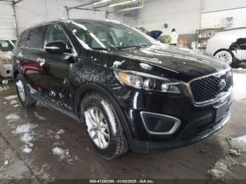  Salvage Kia Sorento