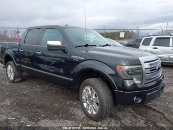  Salvage Ford F-150