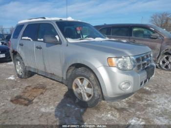  Salvage Ford Escape