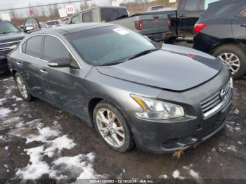  Salvage Nissan Maxima