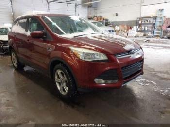  Salvage Ford Escape