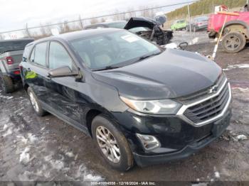  Salvage Chevrolet Equinox