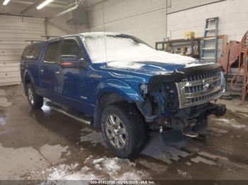  Salvage Ford F-150