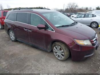  Salvage Honda Odyssey