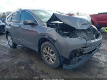  Salvage Honda CR-V