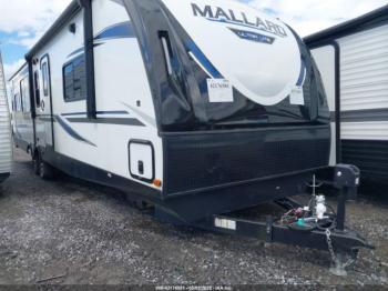  Salvage Mallard Other