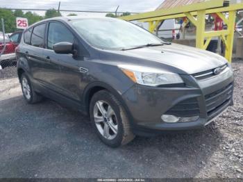  Salvage Ford Escape