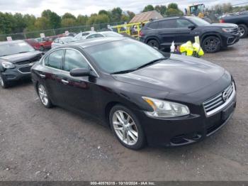  Salvage Nissan Maxima