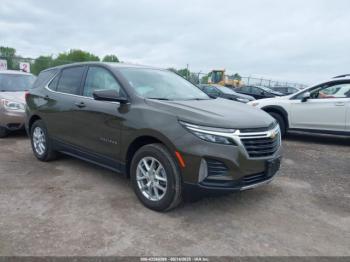  Salvage Chevrolet Equinox