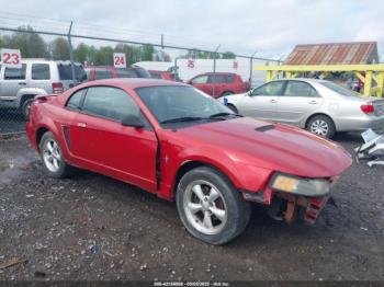  Salvage Ford Mustang
