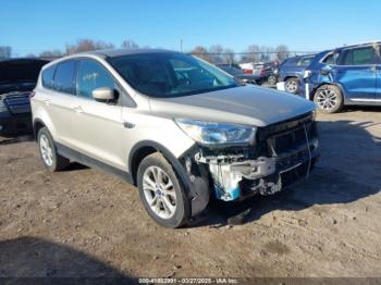  Salvage Ford Escape