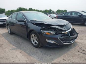 Salvage Chevrolet Malibu
