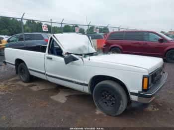  Salvage Chevrolet S Truck