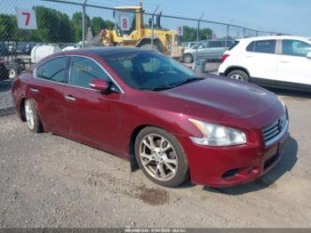  Salvage Nissan Maxima