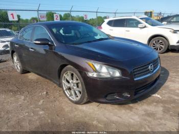  Salvage Nissan Maxima