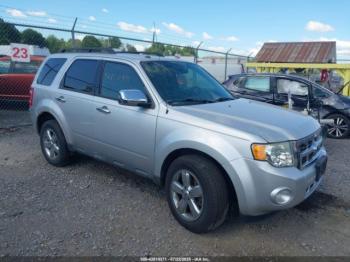  Salvage Ford Escape