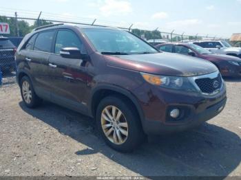  Salvage Kia Sorento