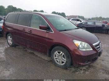  Salvage Honda Odyssey