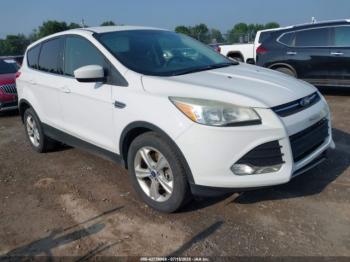  Salvage Ford Escape