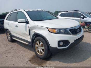  Salvage Kia Sorento