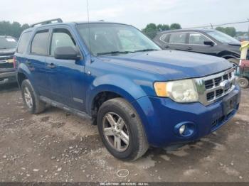  Salvage Ford Escape