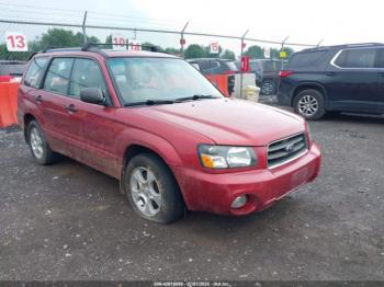 Salvage Subaru Forester