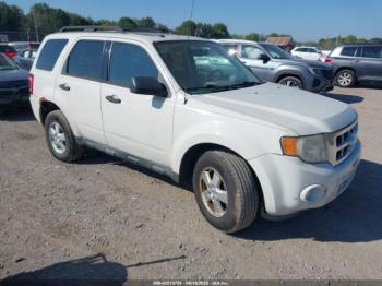  Salvage Ford Escape