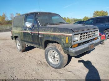  Salvage Ford Bronco