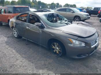  Salvage Nissan Maxima