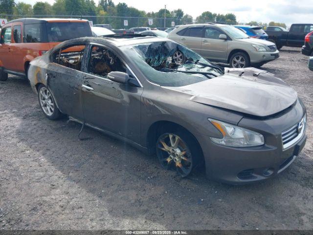  Salvage Nissan Maxima