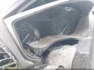 Ford Fusion Se Image 15
