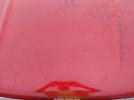 Ford Escape Sel Image 16