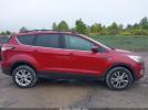 Ford Escape Sel Image 14