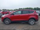 Ford Escape Sel Image 11