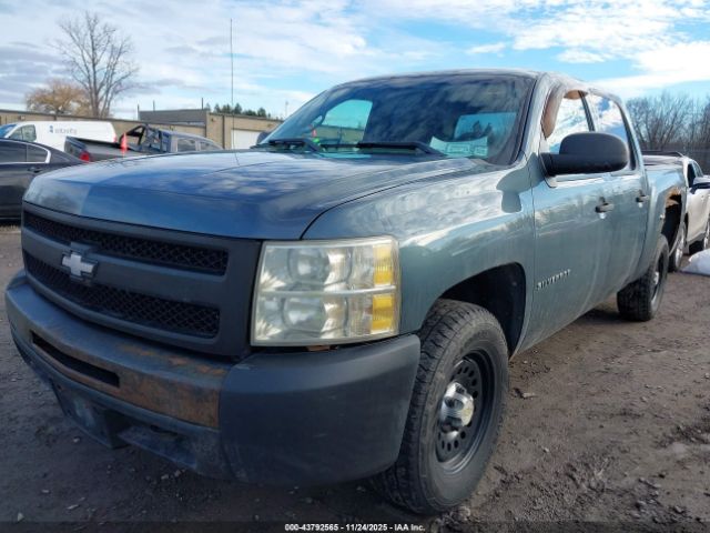 Chevrolet Silverado 1500 Work Truck Image 10