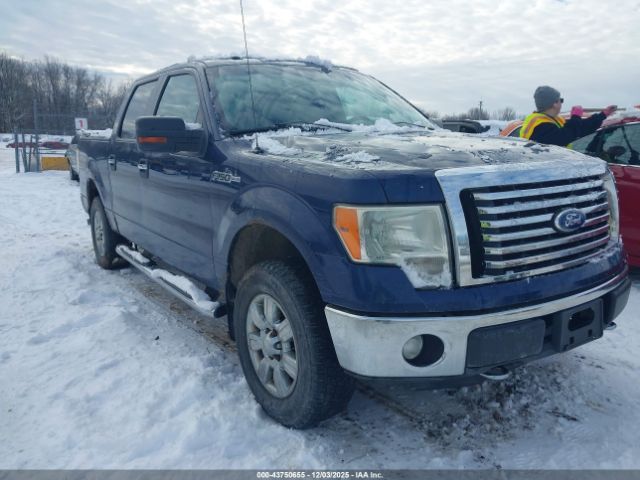 Ford F-150 Xlt Image 1
