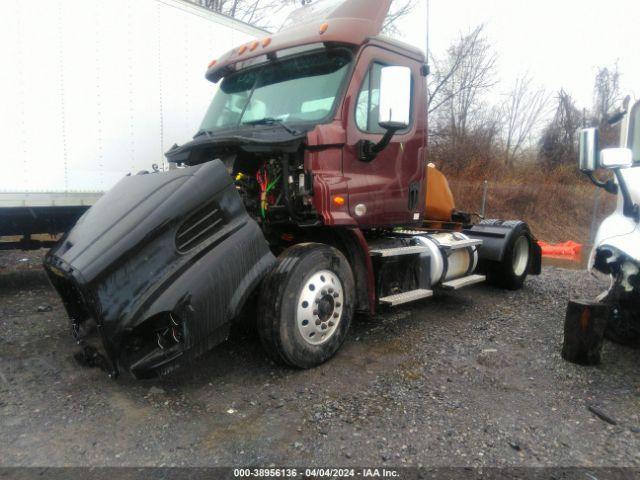 Freightliner Cascadia 113 Image 4