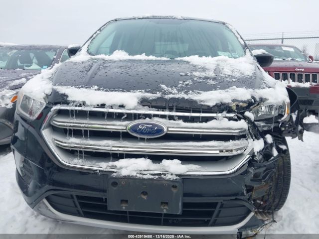 Ford Escape Se Image 10