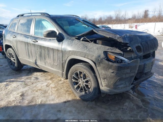 Jeep Cherokee Altitude Lux 4x4 Image 1