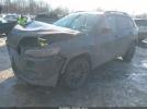 Jeep Cherokee Altitude Lux 4x4 Image 5